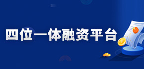 四位一体融资平台
